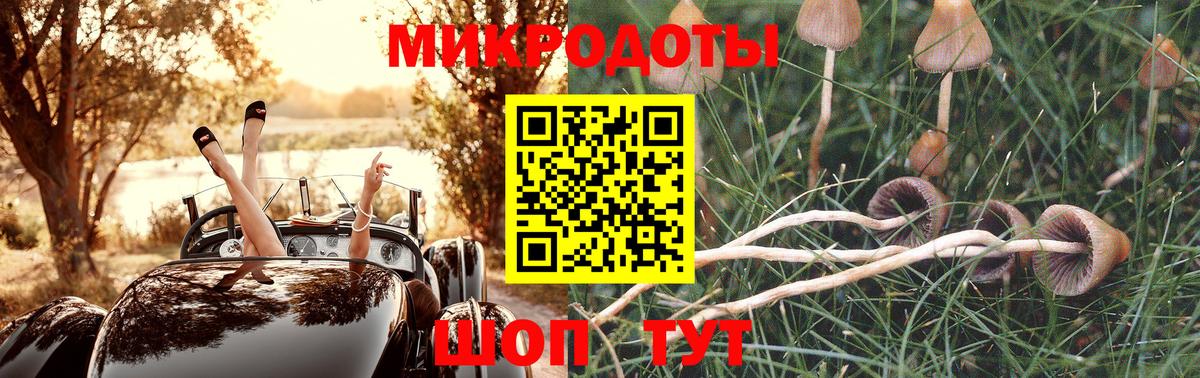 Галлюциногенные грибы ЛСД Нижний Новгород
